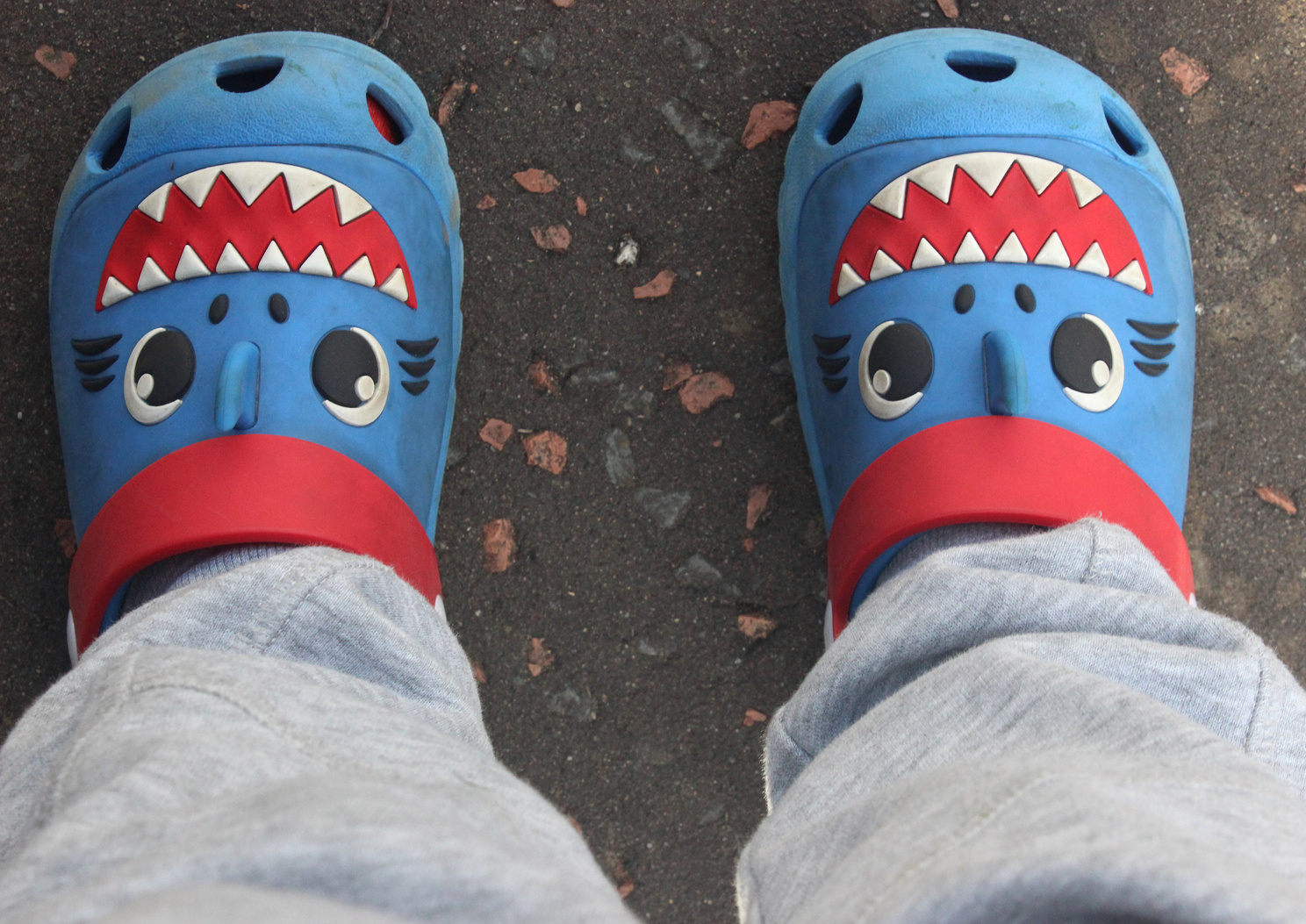 A child's feet wearing blue crocs with shark faces on them.